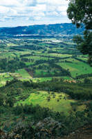 Paisaje del altiplano de la sabana de Bogot�.
