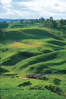 Relieve colinado del altiplano de Santa Rosa de Osos.