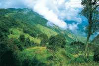Vista hacia el profundo ca��n del r�o Cauca en la cima del p�ramo de Belmira; en una peque�a franja hacia el oriente del altiplano se conservan franjas angostas de robledales.