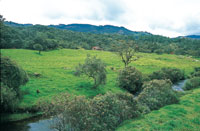 El r�o Chico que desciende del p�ramo de Belmira discurre lentamente a trav�s del relieve; m�s adelante las colinas cubiertas de pastizales para ganader�a, se modelan en profundidad.