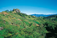 El clima templado en las laderas de los montes favorece la diversidad de cultivos; sin embargo, algunos tipos de vegetaci�n como los guaduales se han visto severamente reducidos. El largo proceso de erosi�n revela en la superficie la estructura de intrusi