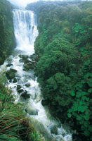 En el Macizo Colombiano nacen los r�os m�s importantes del pa�s, por lo cual se denomina 