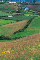 En el altiplano de T�querres, las zonas suavemente onduladas son aprovechadas en la producci�n agr�cola.