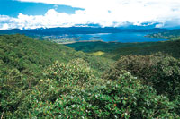 La laguna de La Cocha, hace parte del gran sistema de humedales del norte de Los Andes y est� rodeada por bosques en buen estado de conservaci�n, a pesar de que en algunos sectores presenta fuerte alteraci�n por la extracci�n de carb�n vegetal.