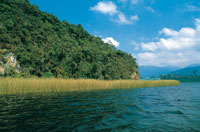 El juncal  que rodea la laguna constituye un h�bitat de considerable importancia porque aporta alimentaci�n y refugio a la fauna.