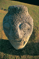 Cabeza tallada en roca gran�tica, Parque Arqueol�gico de San Agust�n, Huila.
