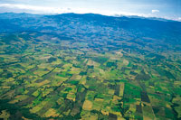 El altiplano de Tunja-Sogamoso presenta un extenso mosaico agr�cola dedicado principalmente al cultivo de papa. Una estrategia de restauraci�n del paisaje deber�a estar orientada a la recuperaci�n de los bosques riparios y a la formaci�n de corredores bio