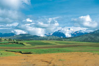 Paisaje agr�cola en el altiplano de Cuzco.