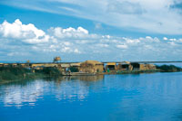 En el lago Titicaca la totora tiene una diversidad de usos; entre ellos, la construcci�n de viviendas.