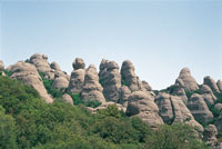 Formaciones de torcas que evidencian el proceso erosivo del antiguo sustrato geol�gico de la meseta ib�rica, rodeadas por bosques de encinos, Quercus.