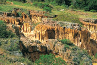 Degradaci�n de los suelos en los enclaves secos de la sabana de Bogot�.