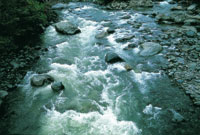 Los r�os contin�an el proceso de excavaci�n de su cauce y transporte de sedimentos y se constituyen en una de las fuerzas modeladoras del paisaje aluvial del altiplano.