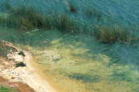 Sedimentos arenosos depositados en la zona litoral del lago de Tota.