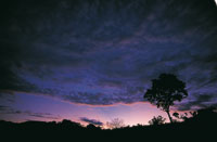 Durante el proceso de formaci�n de los altiplanos el clima se modific� muchas veces; se alternaron �pocas muy h�medas con otras extremadamente secas, lo cual incidi� en la organizaci�n y diversidad de los ecosistemas.