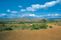 Como resultado del proceso hist�rico de ocupaci�n humana y de factores clim�ticos locales, el altiplano de Villa de Leyva presenta un paisaje �rido y erosionado.