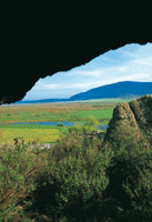 La laguna de La Herrera y sus alrededores son un refugio representativo de la mayor diversidad biol�gica del corredor seco del sur del altiplano de la Sabana de Bogot�.