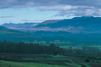 Paisaje del altiplano de la Sabana de Bogot�, cubierto por neblinas.