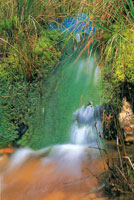 El sistema h�drico del altiplano se alimenta de numerosas fuentes que nacen en los p�ramos circundantes y en un corto trayecto aportan sus aguas a los humedales y finalmente al r�o Bogot�.