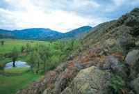 Los escarpes rocosos presentan una vegetaci�n xer�fila especialmente adaptada a las condiciones de sequ�a del sustrato.