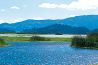 Para que estos ecosistemas contin�en brindando recursos y beneficios a los moradores de la regi�n, es necesario que se les de un buen manejo.