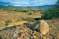 La fauna f�sil da testimonio de que existi� un mar interior en la regi�n de Villa de Leyva.