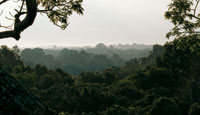 En una atm�sfera cargada de humedad, la superficie irregular de las copas del dosel de la selva se pierde en el horizonte.
