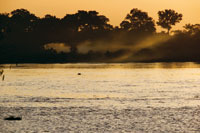 Perfil de la selva a orillas del r�o Amazonas, en cercan�as de Leticia.