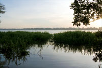 R�o Amazonas al comienzo de la temporada de inundaci�n.
