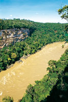 El r�o Caquet�, a su paso por el ca��n del  Araracuara, lleva un alto contenido  de limo y nutrientes aportados por la cordillera andina.