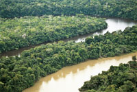 En algunas zonas de la Amazonia corren r�os de aguas blancas cerca de otros de aguas negras.