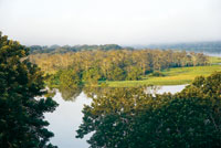 En la �poca de inundaci�n de la v�rzea se observan parches de vegetaci�n aparentemente seca; son las Bombac�ceas que han perdido el follaje para iniciar su floraci�n.