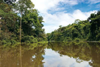 Igap� formado por las aguas del ca�o Tarapoto.