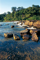 Los cauces de los r�os de aguas negras erosionan la dura arenisca del Escudo Guayan�s formando bloques sueltos y angulosos, que lentamente ser�n reducidos hasta convertirse en arena fina y blanca.
