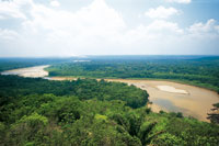 Los r�os de aguas blancas, con su enorme carga de sedimentos, forman amplias playas arenosas. R�o Guaviare en el l�mite de la selva de transici�n con la Orinoquia.
