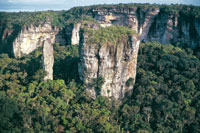 Sector de la serran�a de Chiribiquete profundamente erosionado. En los valles la acumulaci�n de suelos permite el desarrollo de una selva alta y densa. 
