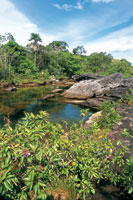 Los ca�os y r�os en la serran�a de La Macarena presentan aguas cristalinas y poco profundas. La vegetaci�n de sus riberas cumple una funci�n importante por su aporte de materia org�nica que sirve de alimento para la fauna acu�tica