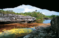 La fuerza erosiva del agua ha labrado en la arenisca cuarc�tica grandes cavernas y formas circulares de remansos con fondo de arenas blancas. La Macarenia clavigera crece bajo la corriente de aguas oxigenadas y embellece el ca�o Cristales con sus cambios