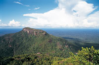 El complejo de torretas y mesas de la serran�a de Chiribiquete es una formaci�n extraordinaria que emerge en la exuberancia de la selva lluviosa tropical de la Amazonia colombiana. A causa de la erosi�n, s�lo quedan tepuyes aislados de lo que en el pasado