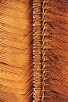 Los techos de las malocas son elaborados en palma de caran�, Lepidocaryum tenue. La t�cnica del tejido se trasmite de generaci�n en generaci�n.