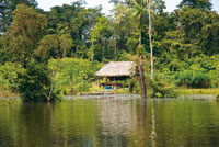 Caba�a de acopio en las riberas del r�o Loreto Yac�.