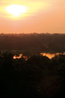 Por estar localizada sobre la zona ecuatorial, la selva tropical recibe durante todo el a�o abundante energ�a solar que hace de ella uno de los ecosistemas m�s productivos del planeta.