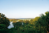 Llanura aluvial de inundaci�n en el ca�o Tarapoto, bajo la niebla del amanecer.
