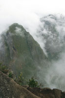 La Amazonia, una f�brica permanente de agua, produce y evapora millones de litros, que en forma de nubes, son transportados por los vientos hacia las monta�as donde descargan lluvias torrenciales en un ciclo permanente.