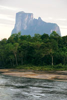 Selva de mediana altura, de 15 a 20 m,
que crece sobre los suelos desarrollados en las areniscas del Escudo Guayan�s, y constituye la vegetaci�n dominante en el nivel m�s bajo de los tepuyes.