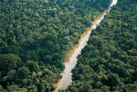 Valle aluvial de un r�o de aguas blancas, cargado de sedimentos arcillosos erosionados de la vertiente andina que le dan su coloraci�n amarillenta y aspecto barroso.