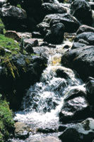 Aguas turbulentas, cristalinas y cargadas de ox�geno caracterizan los r�os y quebradas de alta monta�a.