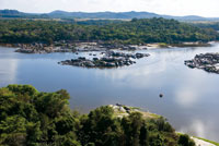 Paisaje de selva riparia en el r�o Orinoco, en la transici�n con las sabanas de los Llanos Orientales.