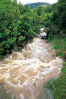 Los r�os de las vertientes andinas transportan una elevada carga de sedimentos y materiales arcillosos que arrastran hasta la planicie amaz�nica.