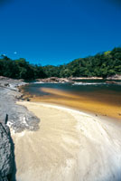 Raudal de Masaca en el r�o Mesay, departamento de Caquet�.
