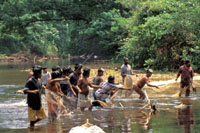 Ind�genas pescando en una quebrada en el alto San Juan.
